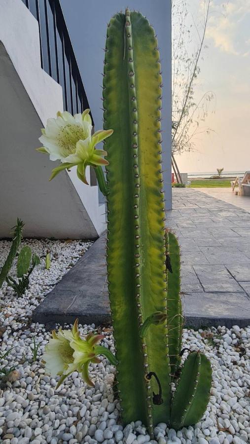 Hatchao Heritage Beach Front Resort Ban Hat Cha Samran ภายนอก รูปภาพ